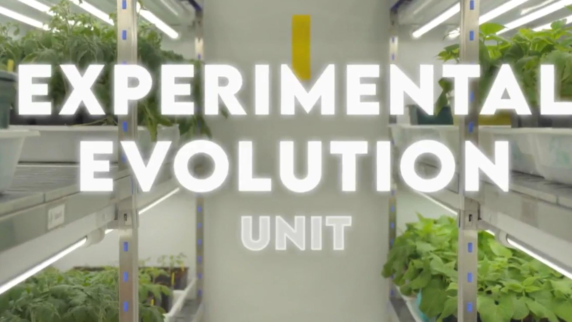 Experimental Evolution Unit